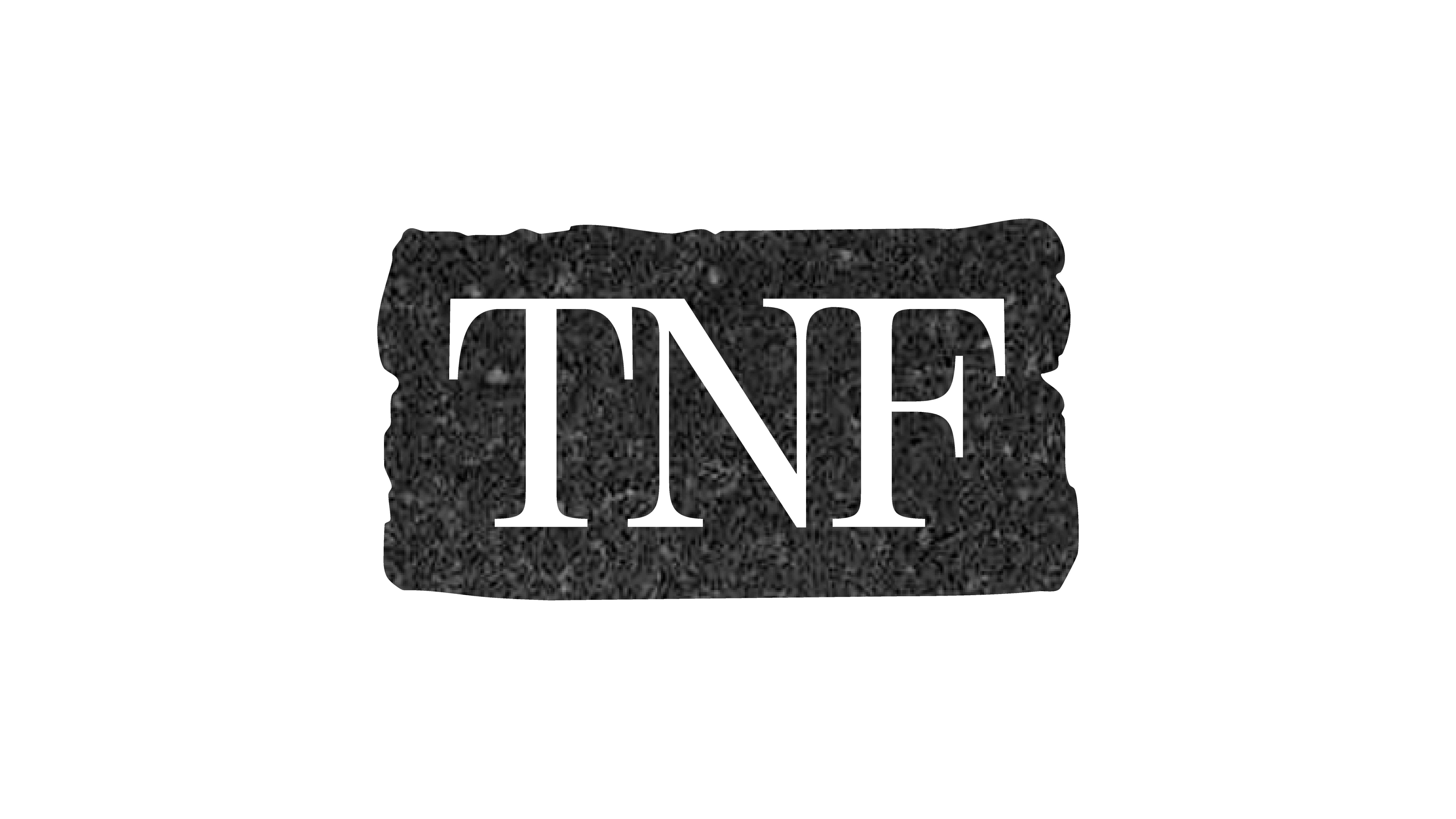 THE NECESSARY FOUNDATION